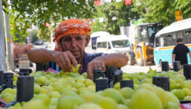 bardakcik inciri izmirli ciftcilerin kooperatif gucu ile deger buldu cLx8ruwg