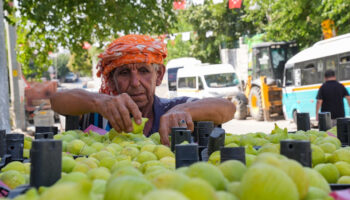 bardakcik inciri izmirli ciftcilerin kooperatif gucu ile deger buldu cLx8ruwg