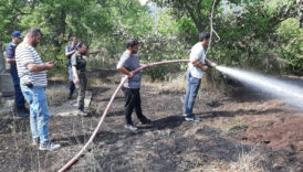 boluda facianin esiginden donuldu ys6IqMBe