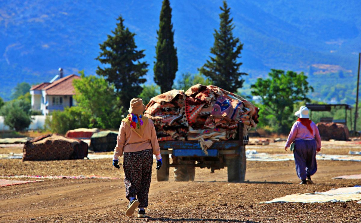 bu hasat baska antalyada bugday tarlalarindaki halilar toplaniyor 1 Wj1SWnjk