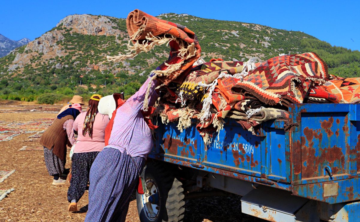 bu hasat baska antalyada bugday tarlalarindaki halilar toplaniyor 2 W44KNIfH