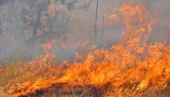 bulgaristanda orman yangini panigi Prrg5Vil