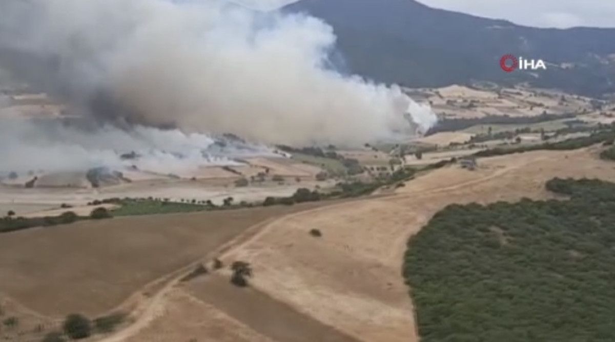 bursada ormanlik alanda yangin cikti 0 KzjOpFKp