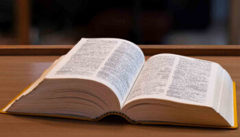 cambridge sozlugune 6 binden fazla yeni kelime eklendi aWPb9ZIX