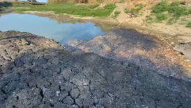 Çanakkale Kocabaş Çayı'nda kuraklık: Toplu balık ölümleri yaşanıyor 3 canakkale kocabas cayinda kuraklik toplu balik olumleri yasaniyor l3BTqCKw
