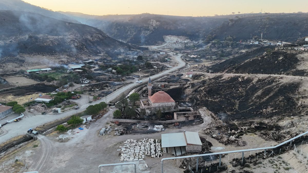 canakkalede 4 koyun etkilendigi orman yanginini cikaranlar belli oldu 0 ZMOPCIrL