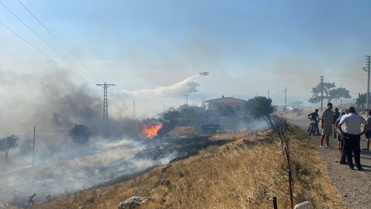 canakkalede 4 koyun etkilendigi orman yanginini cikaranlar belli oldu 2 YOCB6sL5