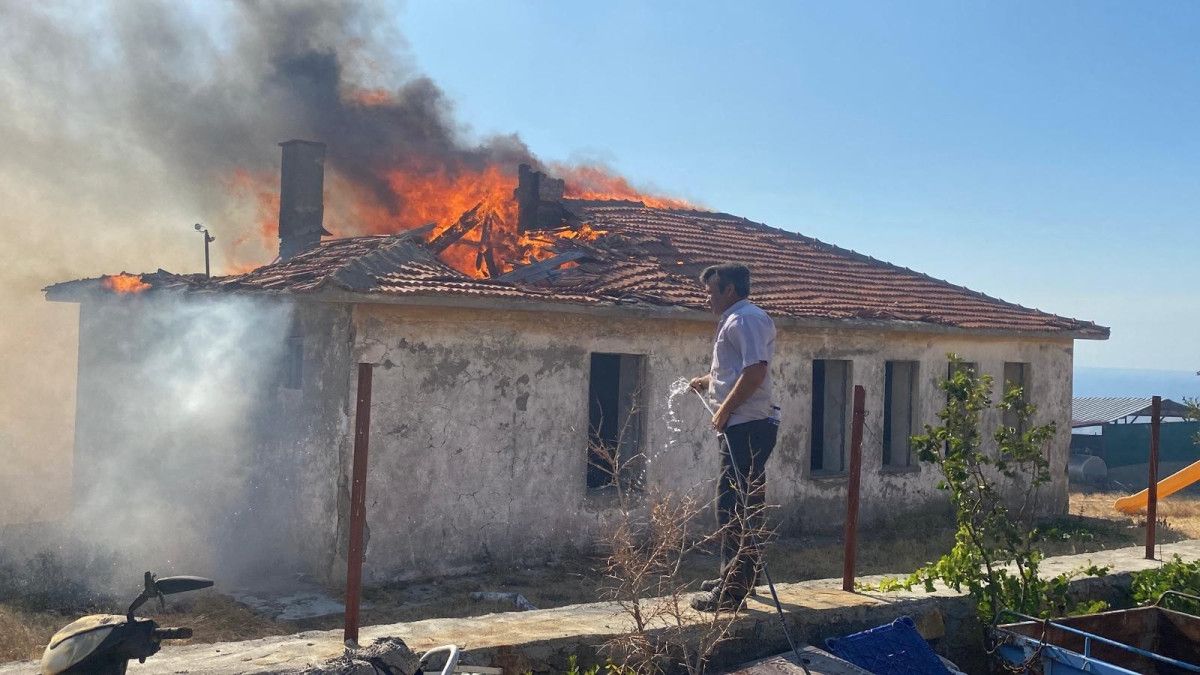 canakkalede 4 koyun etkilendigi orman yanginini cikaranlar belli oldu 3 J89Gw5M1