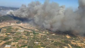 canakkalede 4 koyun etkilendigi orman yanginini cikaranlar belli oldu 53cbalix
