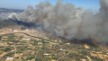 canakkalede 4 koyun etkilendigi orman yanginini cikaranlar belli oldu 53cbalix