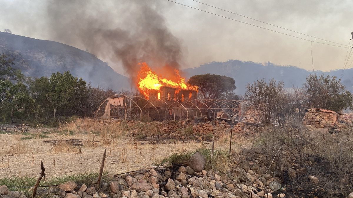 canakkalede 4 koyun etkilendigi orman yanginini cikaranlar belli oldu 6 42uCHh7b