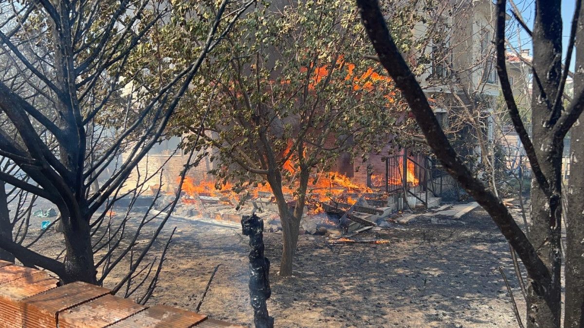 canakkalede orman yangini panigi alevler evlere ulasti 0 V7CdzWKF