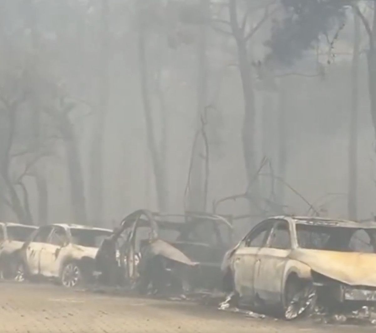 canakkalede orman yangini panigi alevler evlere ulasti 1 ShEdEMd6