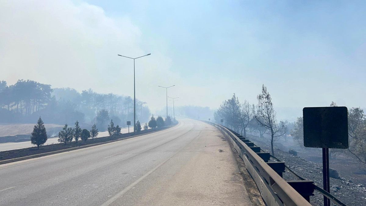 canakkalede orman yangini panigi alevler evlere ulasti 5