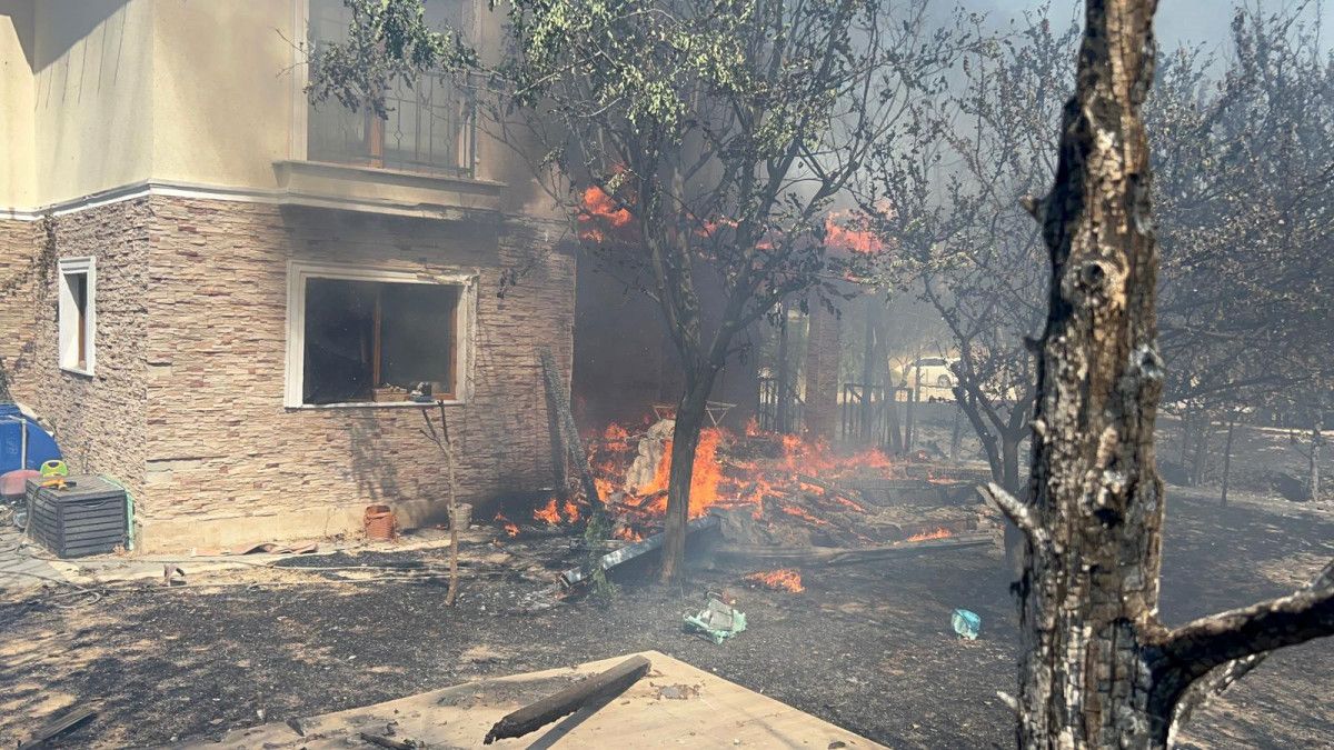 canakkalede orman yangini panigi alevler evlere ulasti 6 mVfmZzs2