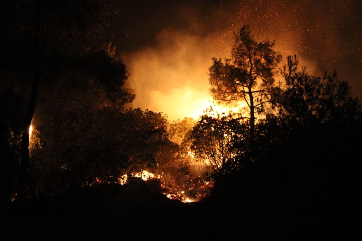 canakkalede orman yangininda son durum tahliyeler suruyor 1 PMYMW3I4