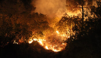 canakkalede orman yangininda son durum tahliyeler suruyor LjRTxSv3