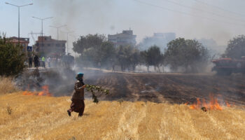 canakkalede otluk alanda cikan yanginda son durum DZASTmM2