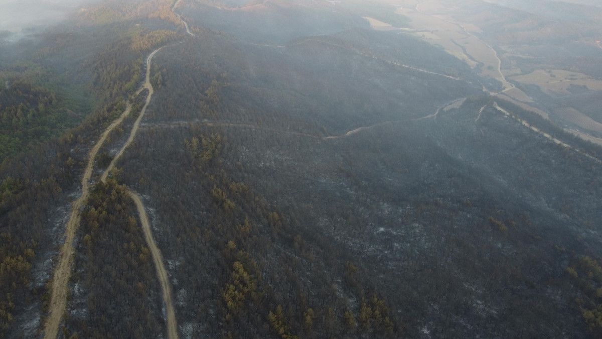 canakkaledeki orman yangininda zarar goren alanlar goruntulendi 6 6Eil3nPt