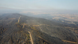 canakkaledeki orman yangininda zarar goren alanlar goruntulendi kdyWrmdf