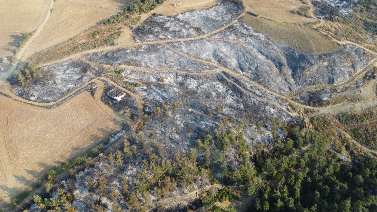 canakkaledeki yangin sonrasi olusan hasar havadan goruntulendi 0 XmfVdGg8
