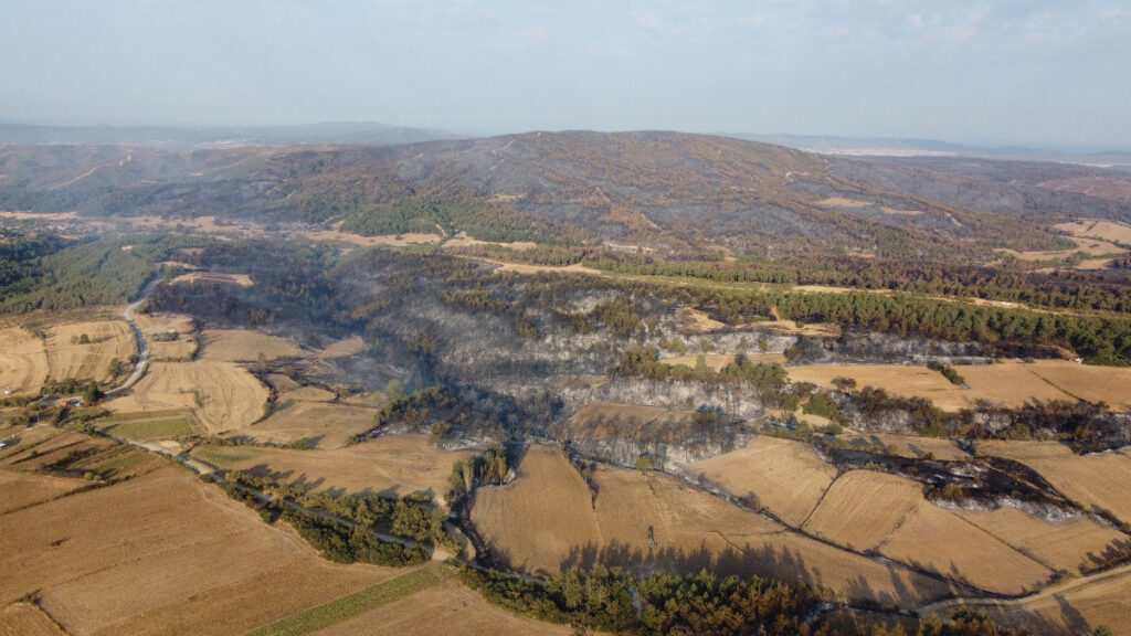 canakkaledeki yangin sonrasi olusan hasar havadan goruntulendi ki6AONHj