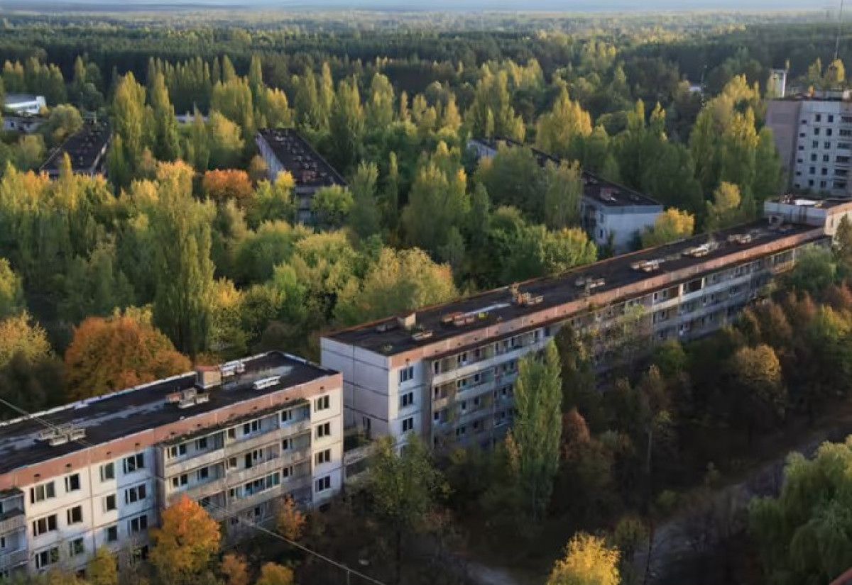 cernobilin radyoaktif topraklarinda yasadisi tarim skandali 0 QEFQBHG2