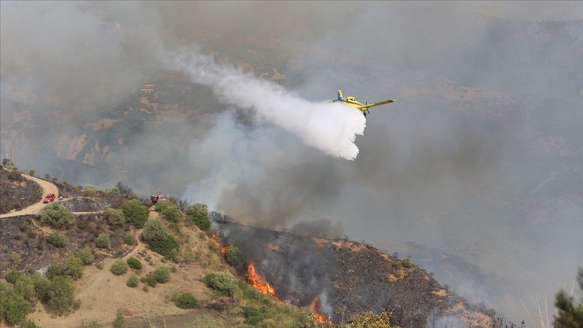 cezayirin 7 kentinde orman yanginlari 0 K3jYuJmW