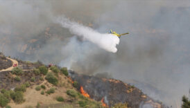 cezayirin 7 kentinde orman yanginlari UPhk8Apl