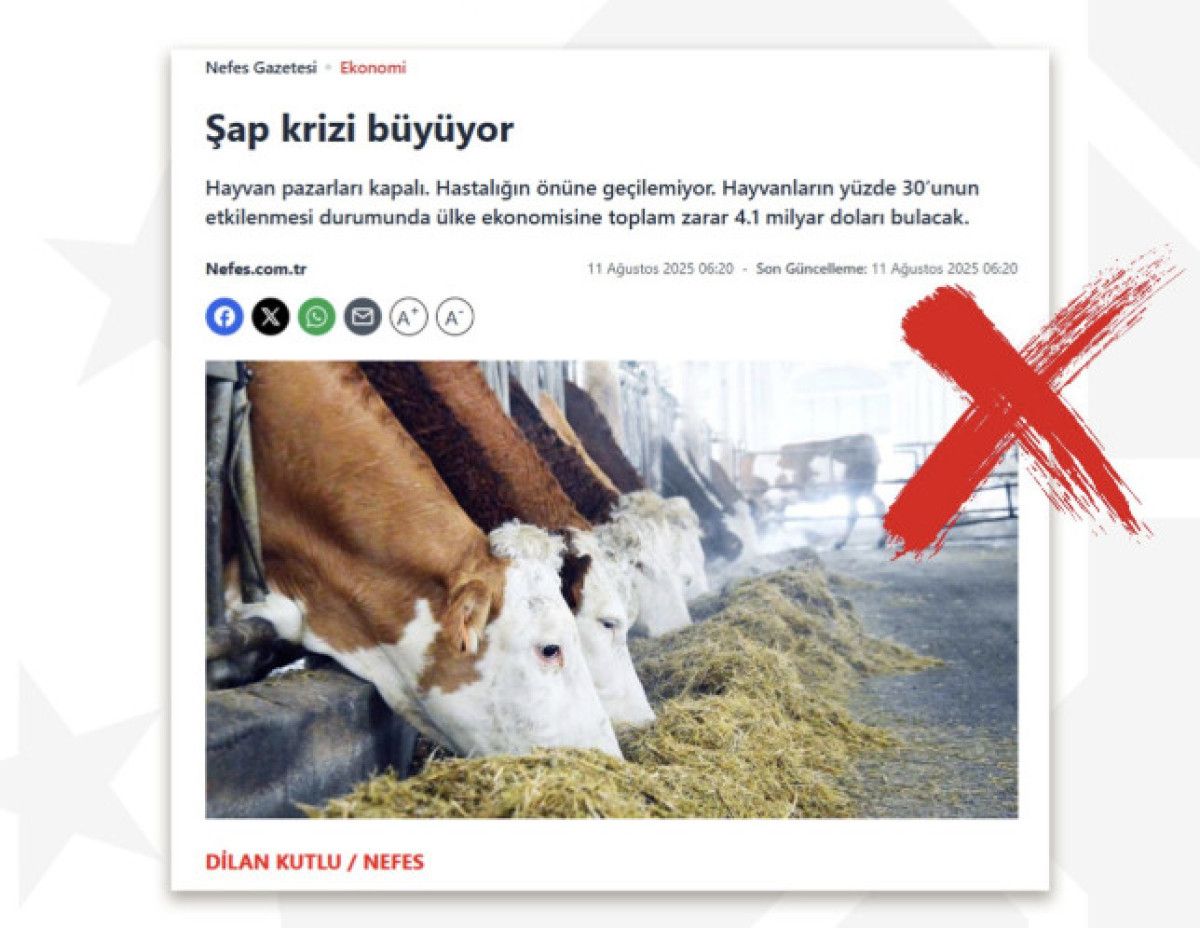 dmm sap hastaliginin ekonomiye zarar verdigi haberlerini yalanladi 0 EruLTIkH