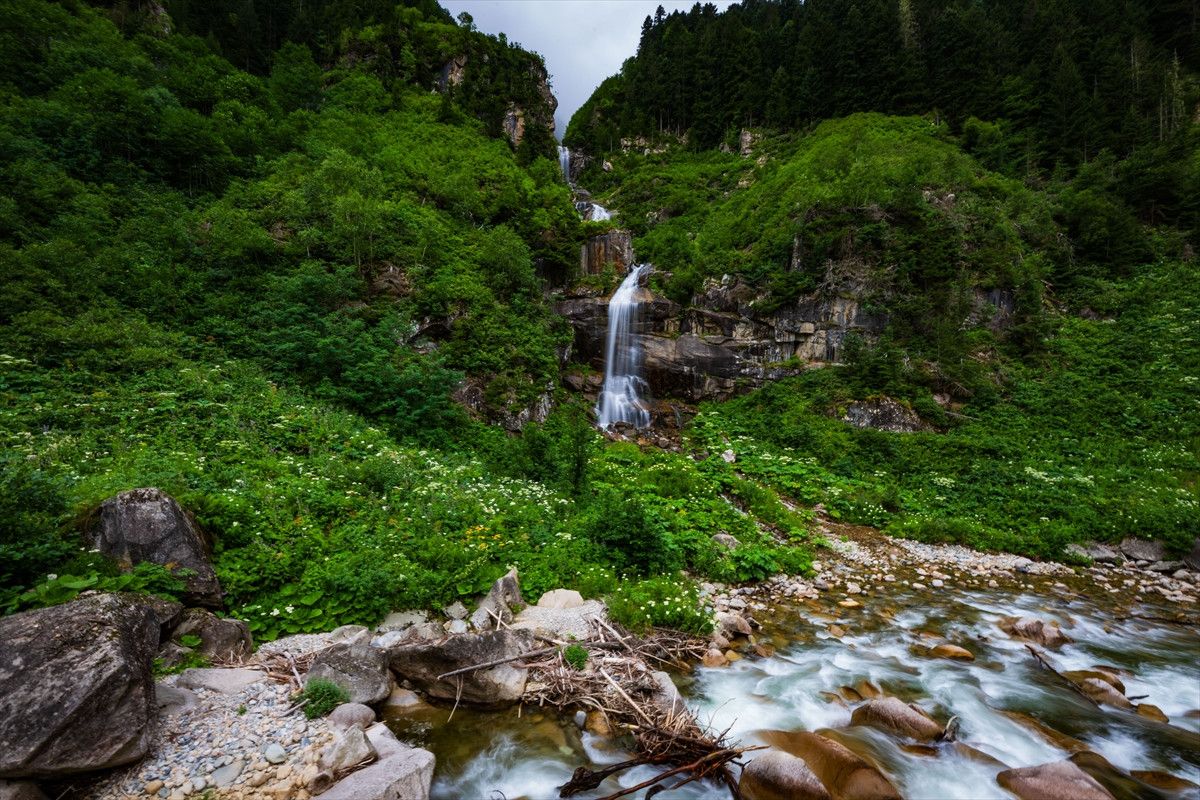 doga harikasi cimil vadisi ziyaretcilerine gorsel solen sunuyor 0