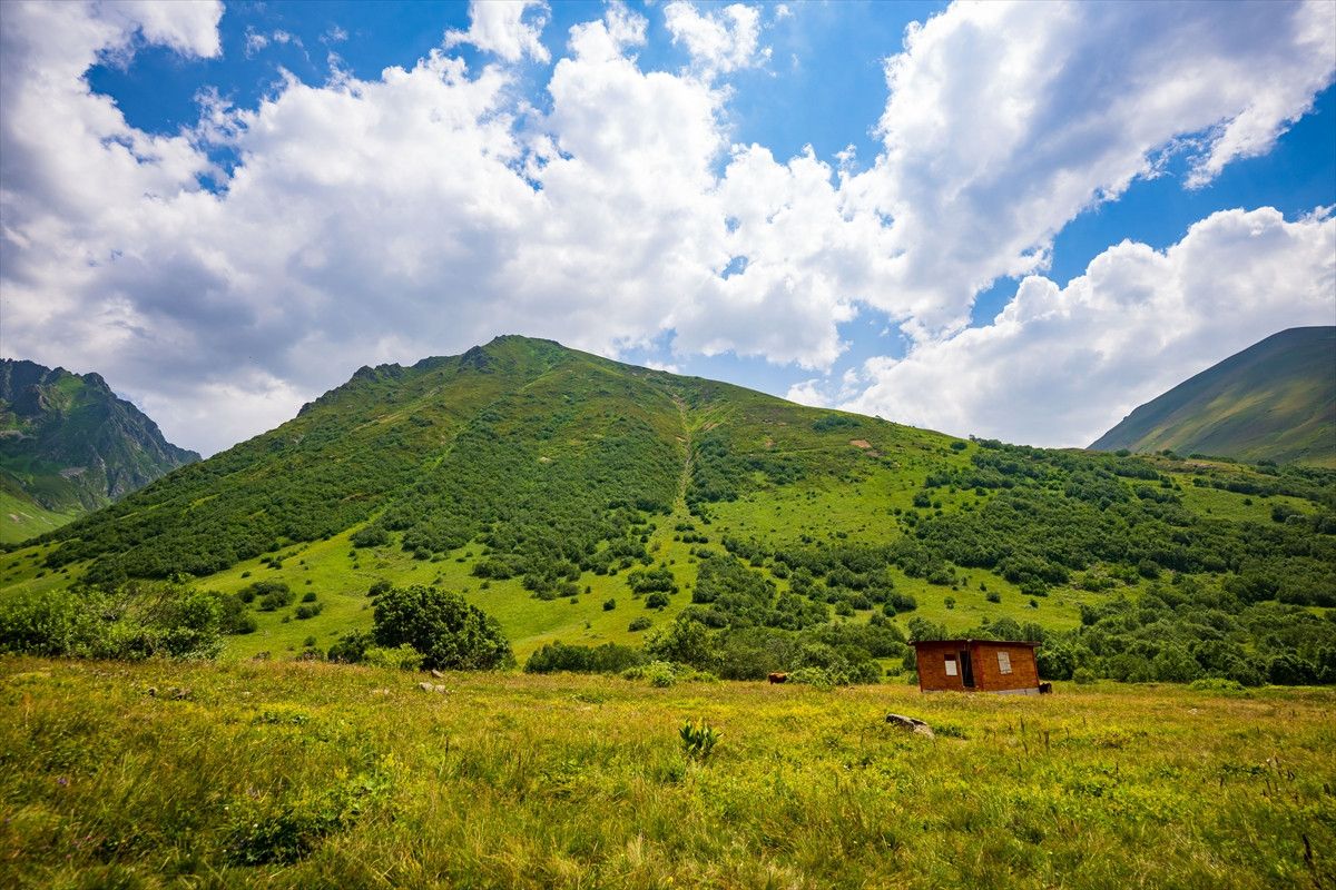 doga harikasi cimil vadisi ziyaretcilerine gorsel solen sunuyor 4 HFenZZfi