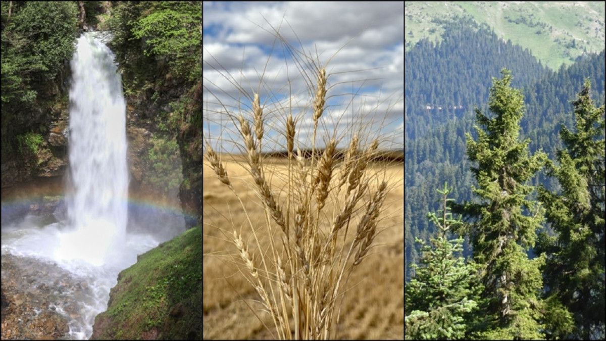 dunya limit asim gunu her yil daha da erken gelecegi tuketiyoruz 0