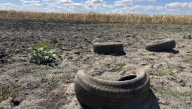 edirnedeki yagcili goleti kuraklik nedeniyle kurudu EjYzE9cw