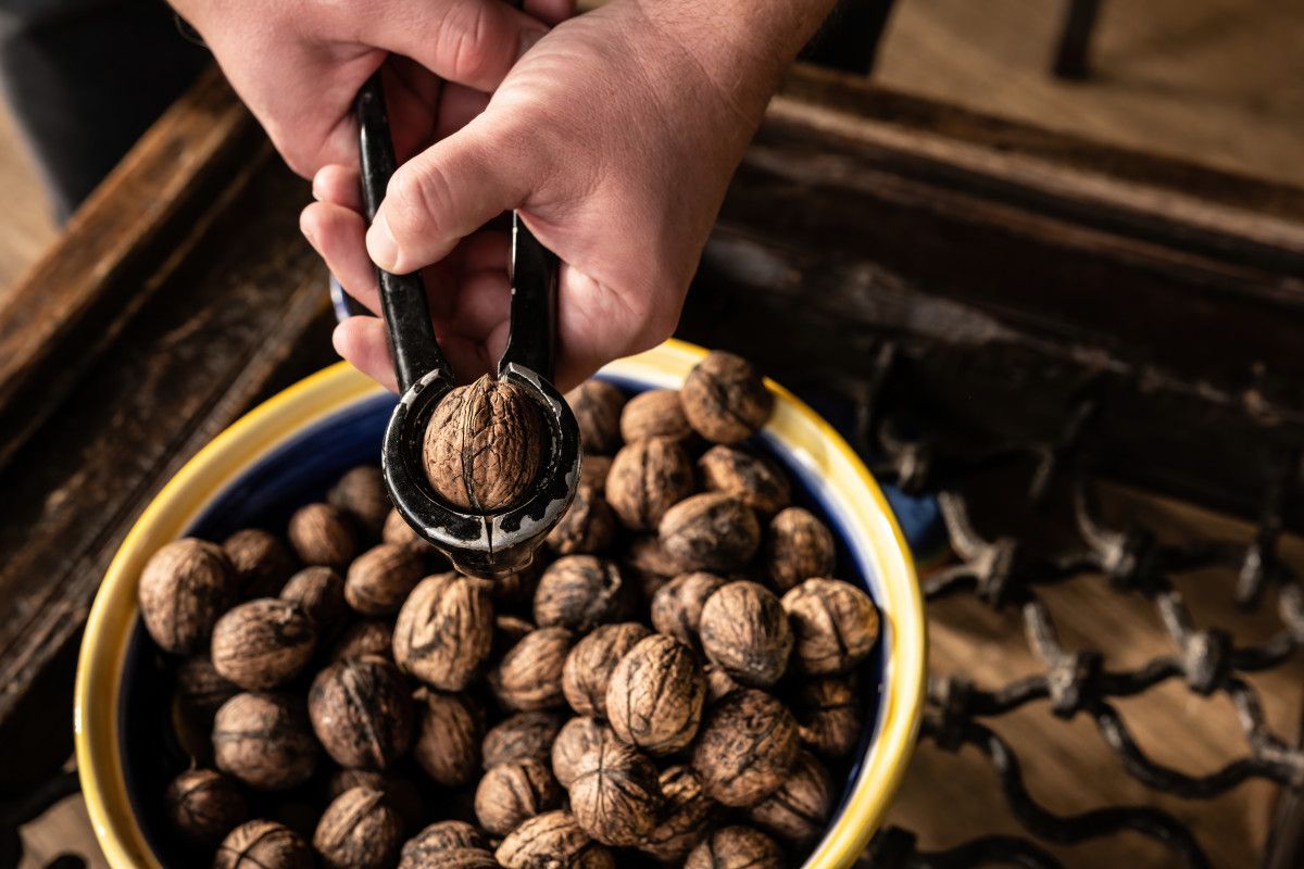 emziren anneler icin sut miktarini artiran besinler 3 qXN8FqA8