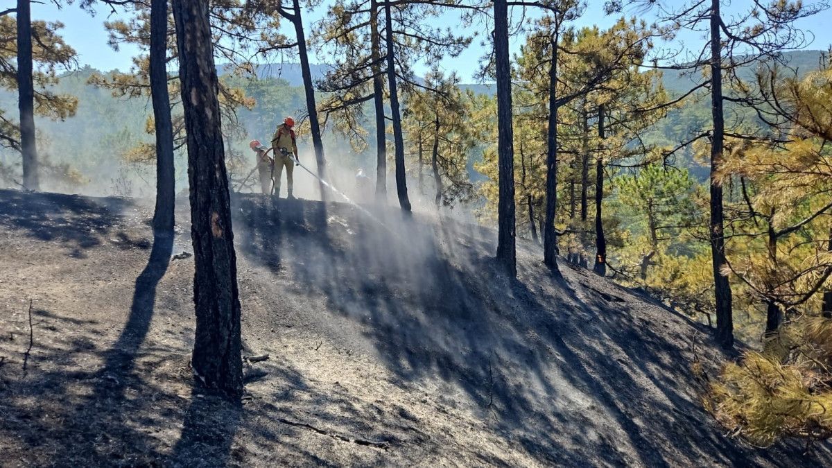 erken mudahale denizlinin cigerlerini yanmaktan kurtardi 0 IaIc9BDD