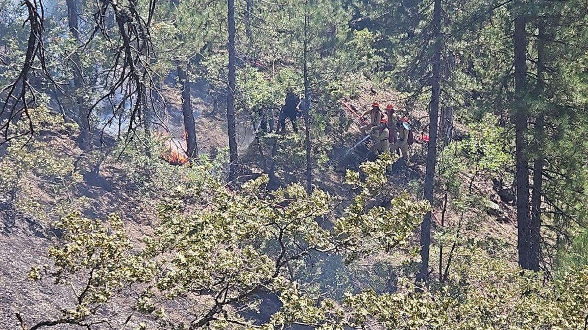 erken mudahale denizlinin cigerlerini yanmaktan kurtardi 2