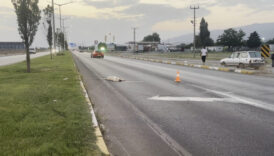 erzincanda bir kopek telef olan arkadasinin basindan ayrilmadi HhUXfEtw