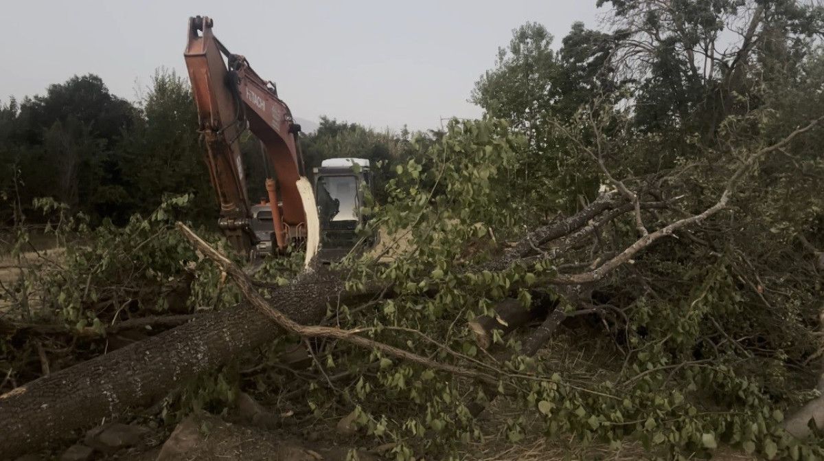 erzincanda kanal calismasinda agac devrildi isci oldu 0 Nv4EapGA