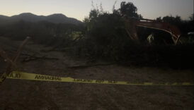 erzincanda kanal calismasinda agac devrildi isci oldu 2wUDDH2Y