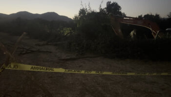 erzincanda kanal calismasinda agac devrildi isci oldu 2wUDDH2Y