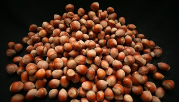 findik ihracatindan 7 ayda 13 milyar dolar OSWcqz3Y