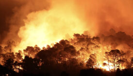 fransada 16 bin hektari kule ceviren yangin henuz kontrol altina alinamadi 8Y2jpmxa