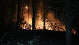 fransadaki yanginda paristen daha buyuk bir alan yok oldu UBWjqazJ