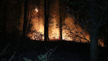 fransadaki yanginda paristen daha buyuk bir alan yok oldu UBWjqazJ