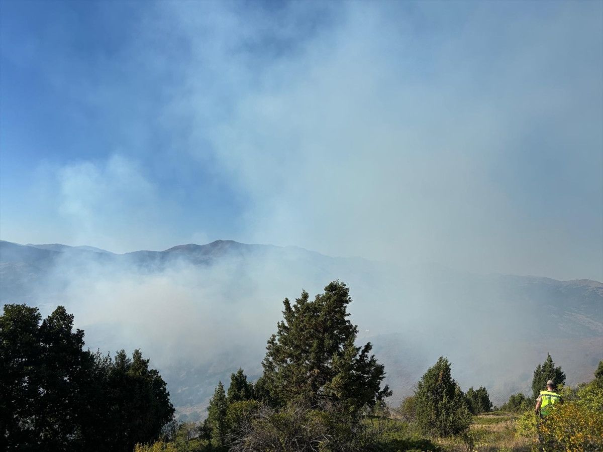 gumushanede orman yangini ile mucadele 0 8O4zhagN