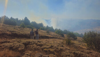 gumushanede orman yangini ile mucadele O5aR1cSy