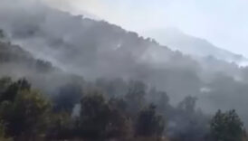 hakkaride orman yanginina mudahale suruyor fy8I435O