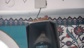 hatayda camiye yuva yapan kuslar cemaatin korumasinda KeiGWpY4