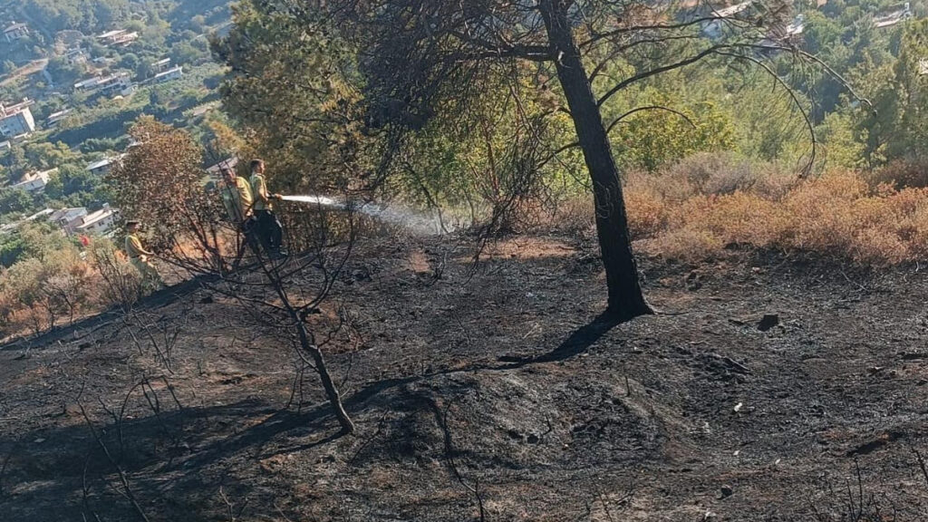 hataydaki orman yangininda son durum kUEf3hCq